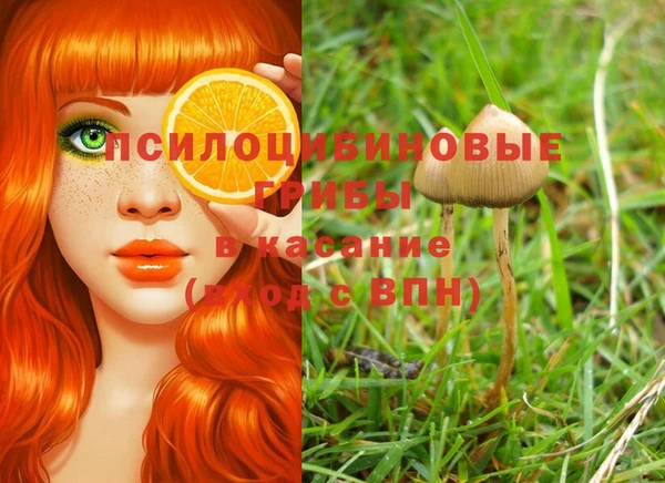 мефедрон Богородицк