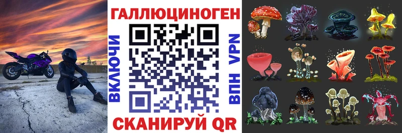 купить наркотик  Жердевка  Псилоцибиновые грибы прущие грибы 