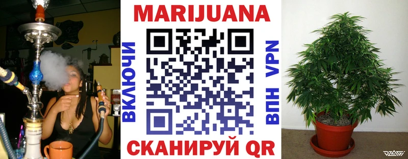 Каннабис сатива  Жердевка 